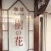 銀座喫茶店樹之花體驗