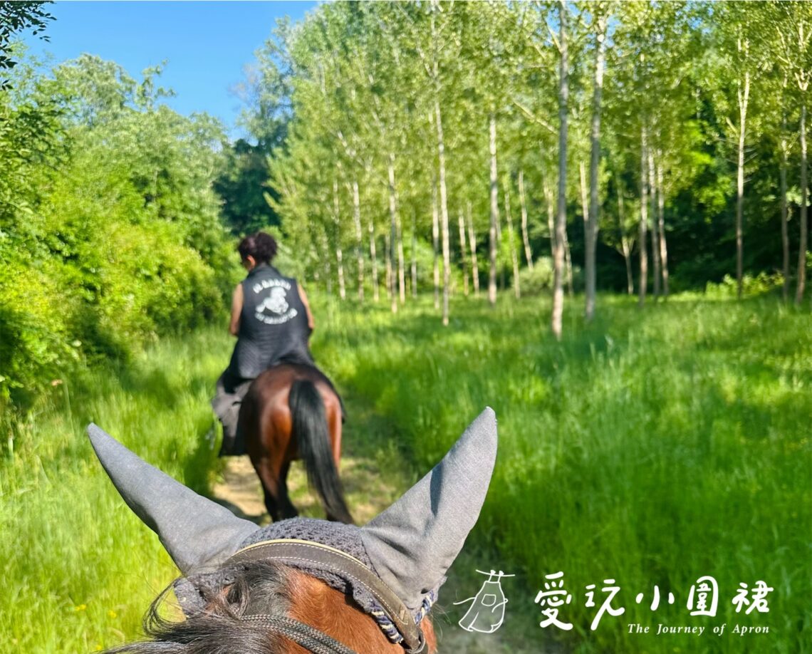 森林騎馬與SPA理療