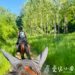 森林騎馬與SPA理療